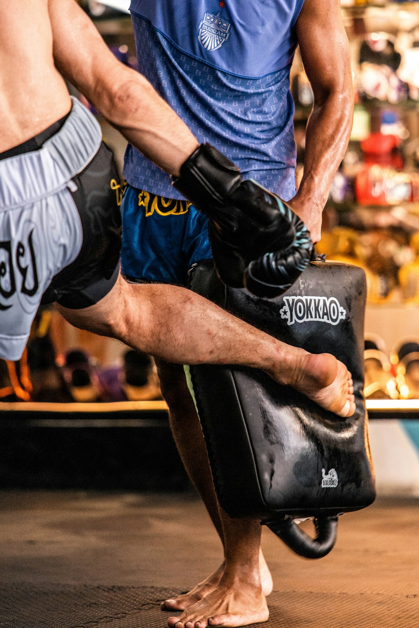 Essential Gear Every MMA Fighter Needs